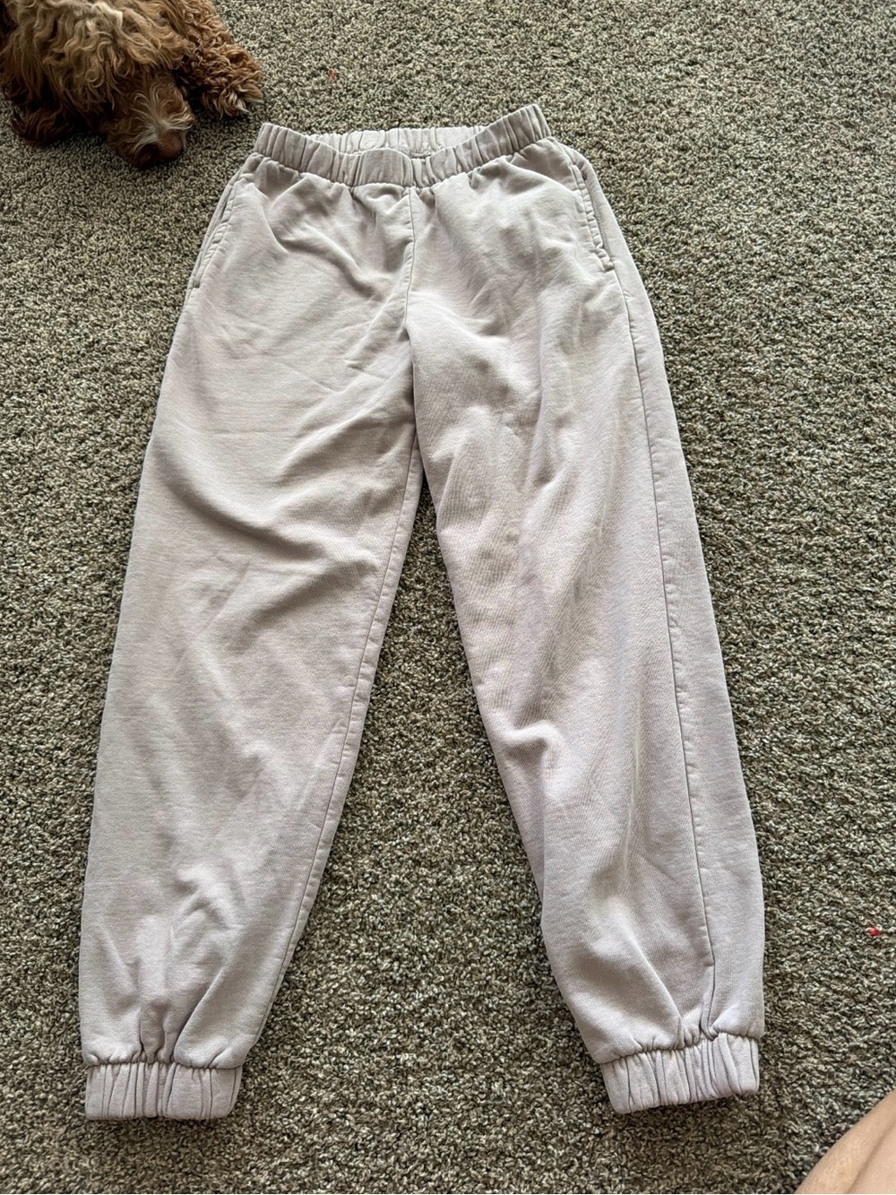 Brandy Melville Light Gray Cozy Jogger Pants